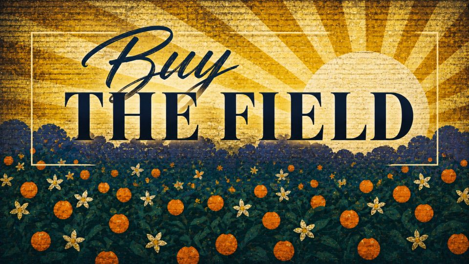 Buy The Field – Final